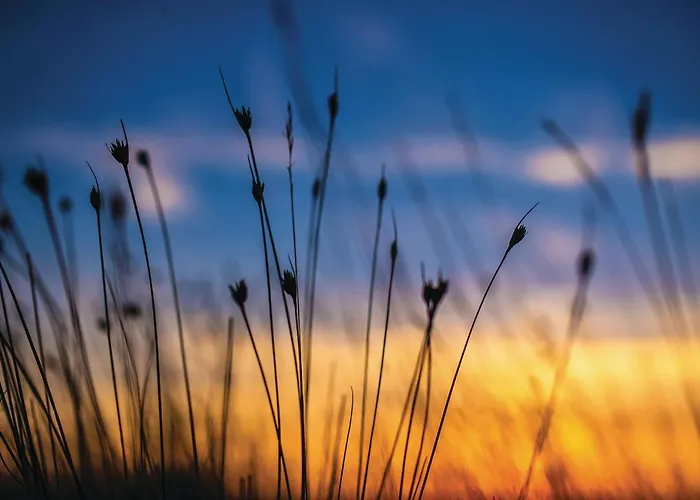 Holiday home Stunning In Privlaka *